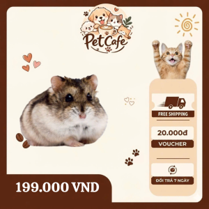 chuột đồng siberia